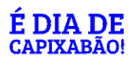 Futebol Capixaba Sticker by futebolcapixabaoficial
