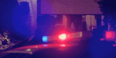 Tim Robinson Friendship GIF by A24