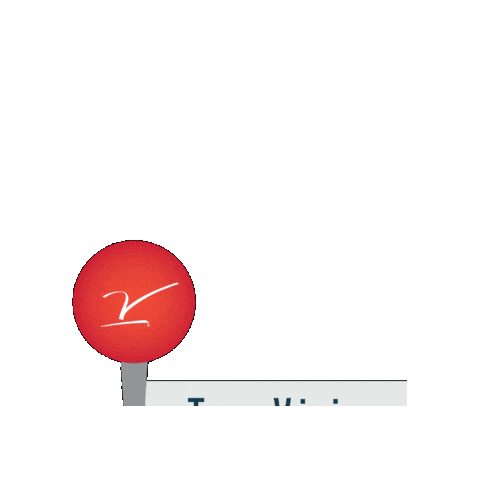 Chicago Marathon Teamv Sticker by V Foundation