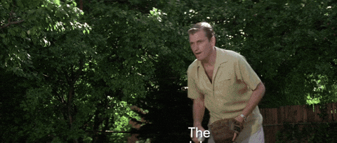 giphy.gif?cid=82a1493bh606gb0ipputl4ykiscj8a618rjxq7pz45mi0a66&rid=giphy.gif&ct=g