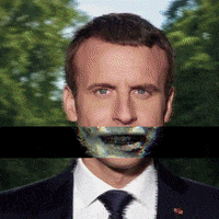 France President GIF