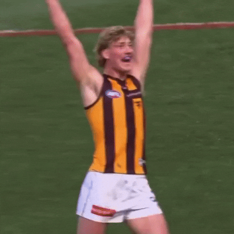 Hawthorn Hawks GIF
