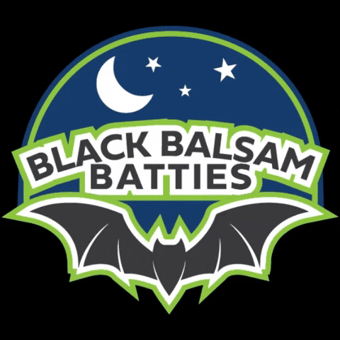 black balsam meaning, definitions, synonyms