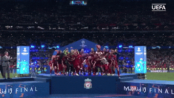 uefa champions league final 2019 GIF by UEFA