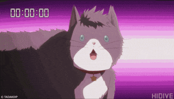 in love cat GIF by HIDIVE