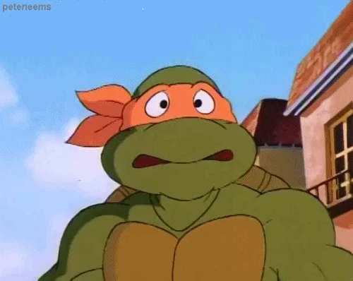 Shocked Teenage Mutant Ninja Turtles GIF