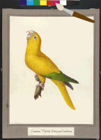 200.gif?cid=fc005b0845e2f67444c2301075513765e683b336884c9746&rid=200.gif&ct=g