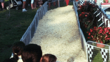 race pig GIF by The NGB