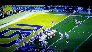 Lsu Football GIF