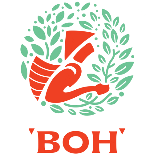 Tea Time Break GIF by BOH Tea Find & Share on GIPHY