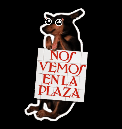 Plaza Sonora GIF