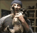 Animals Being Dicks GIF