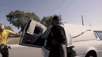 Turn Up Hearse GIF by P.O.S.