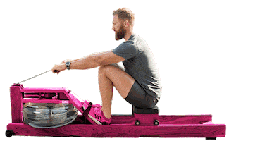 Row Rower Sticker by WaterRower Inc.