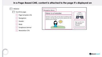 Cms Bloomreach GIF