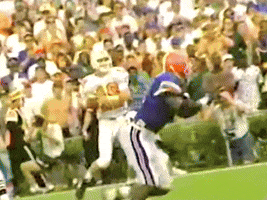 Florida Gators GIF
