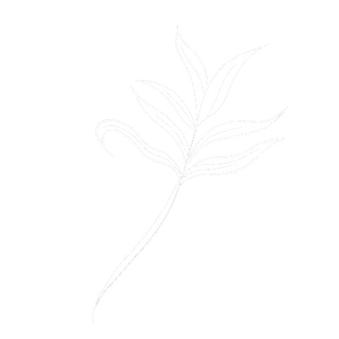 Beach Plant Sticker