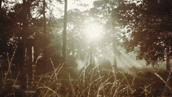 September 5 Love GIF
