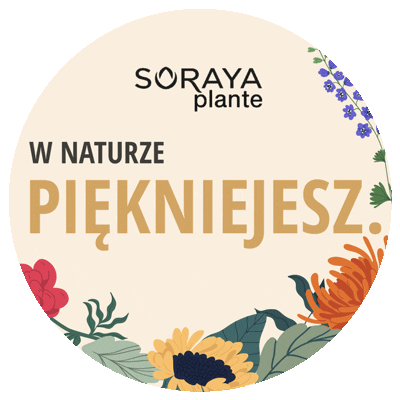 Plante Sticker by soraya_polska