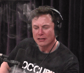 Elon fortnite twitter