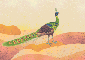 Eye Surrealism GIF