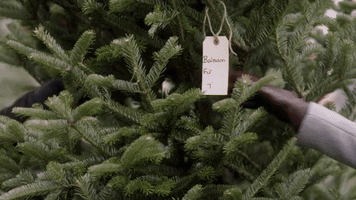 holiday movie christmas GIF by Hallmark Channel