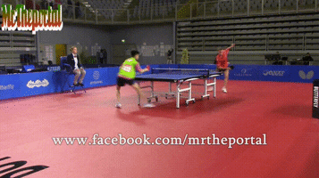 ping pong skills GIF