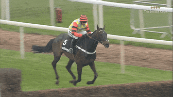 horse racing jump GIF by The Jockey Club