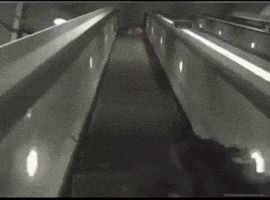 Brother Move GIF