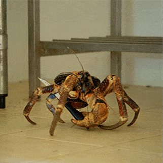 GIF by ThirteenWNET