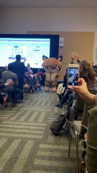cat love GIF by AppExchange