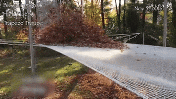 era  GIF