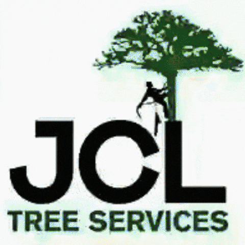 Tree Pruning GIF