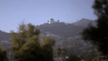 los angeles la GIF by The Orchard Films