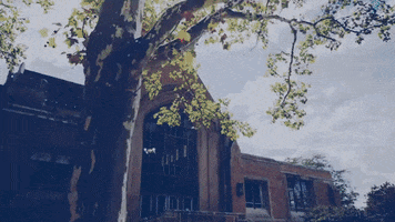200.gif?cid=fc005b08f04d932aa82c8bc2081be21aa45a6794d26758b9&rid=200.gif&ct=g