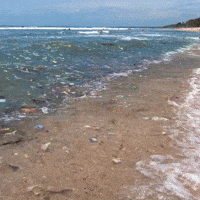 World Oceans Day Gifs Get The Best Gif On Giphy