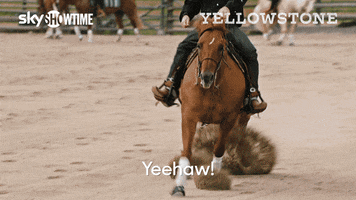 Horse Cowboy GIF by SkyShowtime