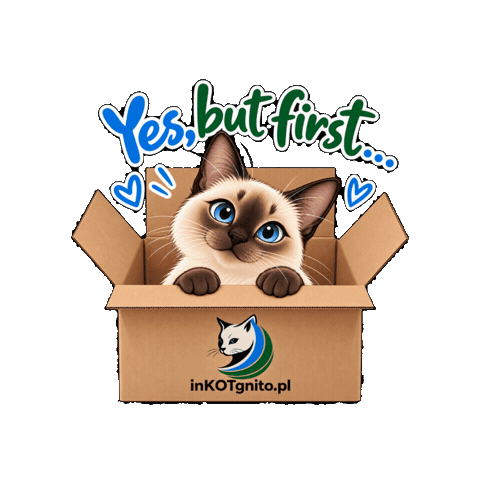 Cat Kot Sticker by inKOTgnito