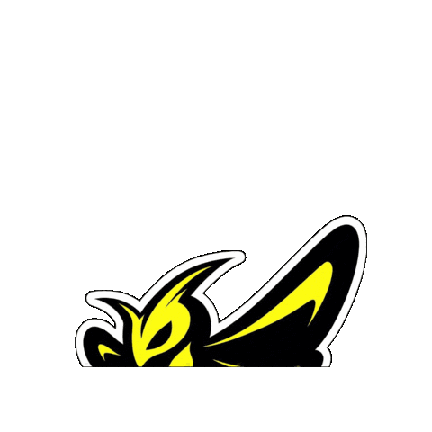 Triathlon Sticker by Tri Team 1.USC Traun