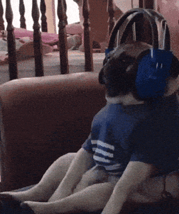 Co wolisz słuchawki czy głośniki