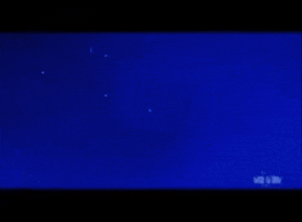 Evolution GIF