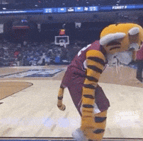 College Basketball Dance GIF by NCAA March Madness