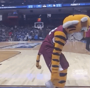 College Basketball Dance GIF by NCAA March Madness