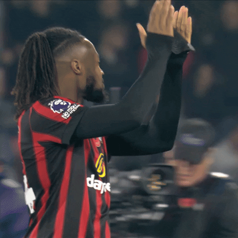 Well Done Applause GIF by AFC Bournemouth