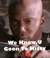 Free Fire Cat Meme GIF