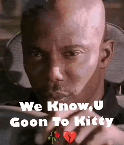 Free Fire Cat Meme GIF