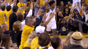 celebrate nick young GIF by NBA