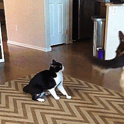eyebleach