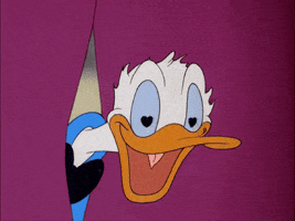 Disney gif. With his head poking through the split of a curtain, Donald Duck gawks happily, with pulsing heart shapes in his pupils.