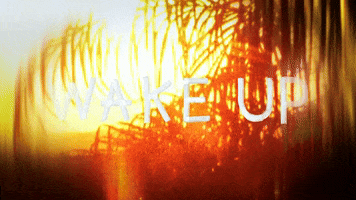 Wake Up GIF by Skylar Blatt